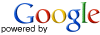 Search Google